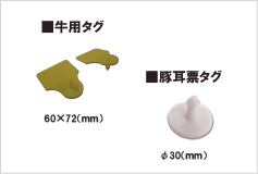 生物認証タグ イメージ