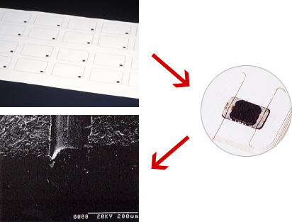 High Frequency Inlet & Low Frequency Inlet イメージ