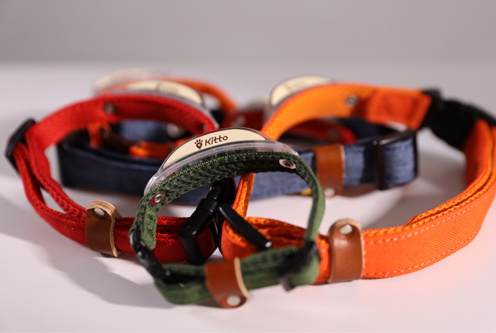 商品情報｜迷子防止に特化した首輪「Kitto」