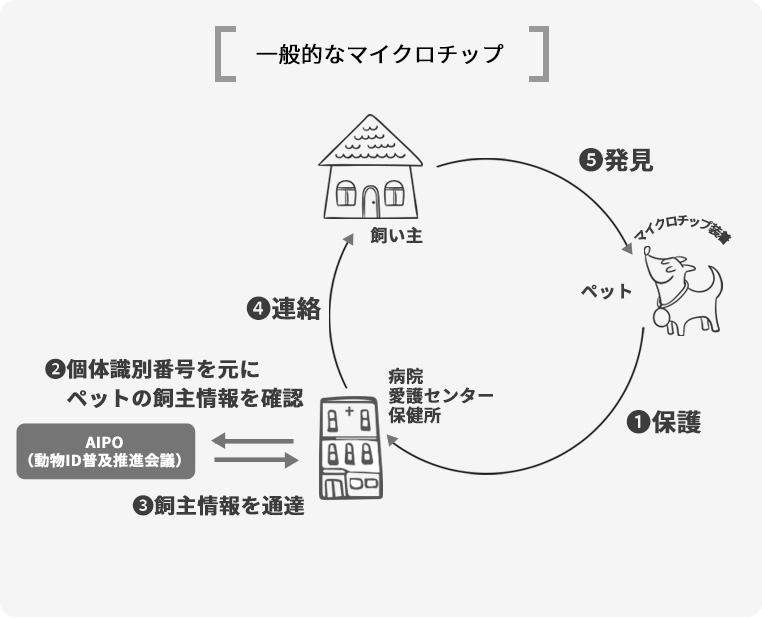 一般的なマイクロチップ